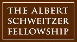 Alabama Schweitzer Fellows: class of 2020-21 project updates