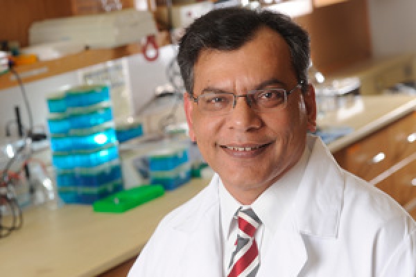 Mitochondria expert invited to NIH strategic workshop