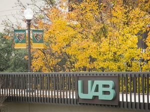 UAB research funding continues to increase