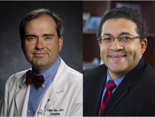 Kew and Young named interim co-directors of Comprehensive Transplant Institute