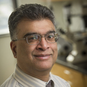 Ramanadham secures two JDFR grants for T1D research