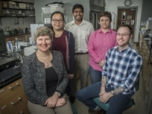 UAB creates triple-threat cancer-fighting polymer capsules for guided drug delivery