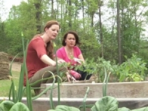 Harvest for Health expands breast cancer study, looks for new participants across Alabama