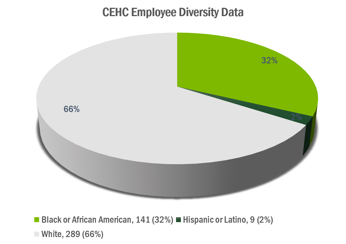 CEHC Employee Diversity Data Pie Chart