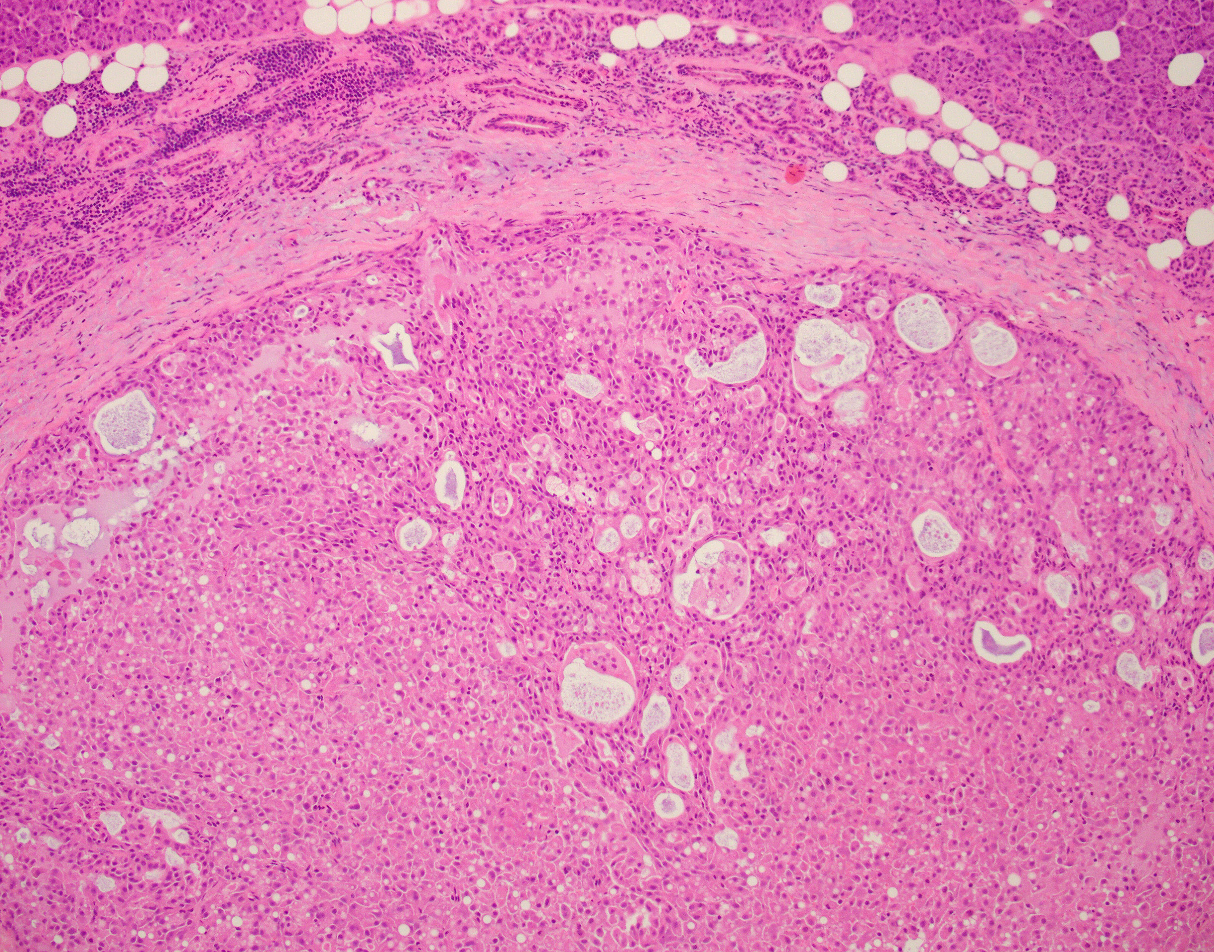 WIN 20201023 14 54 18 Pro