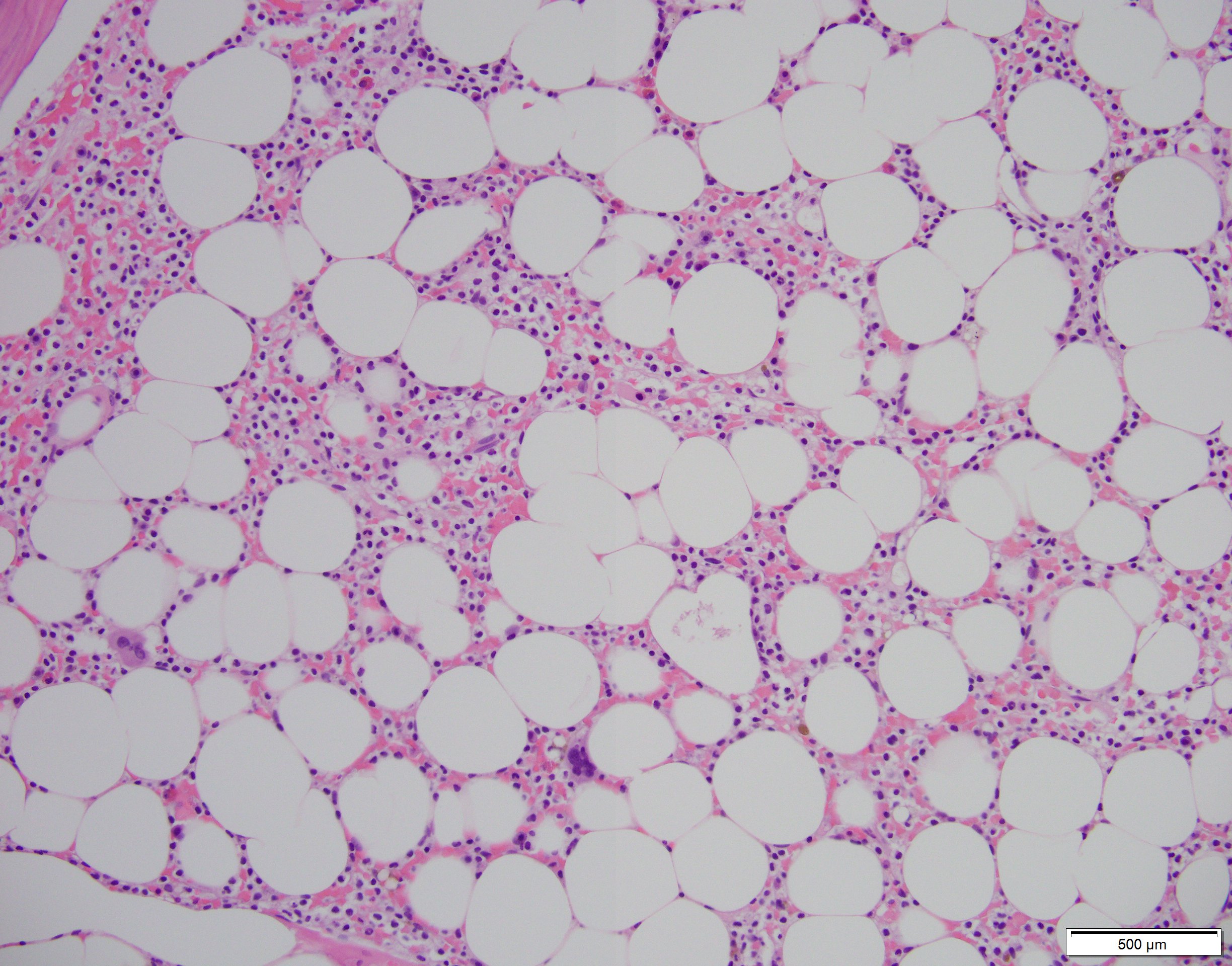 WIN 20201023 14 56 49 Pro