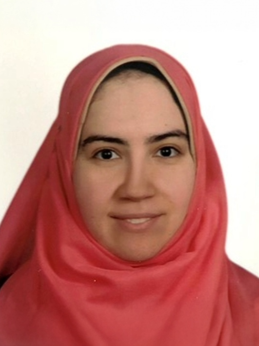 Ewais, MennatAllah, M.D.