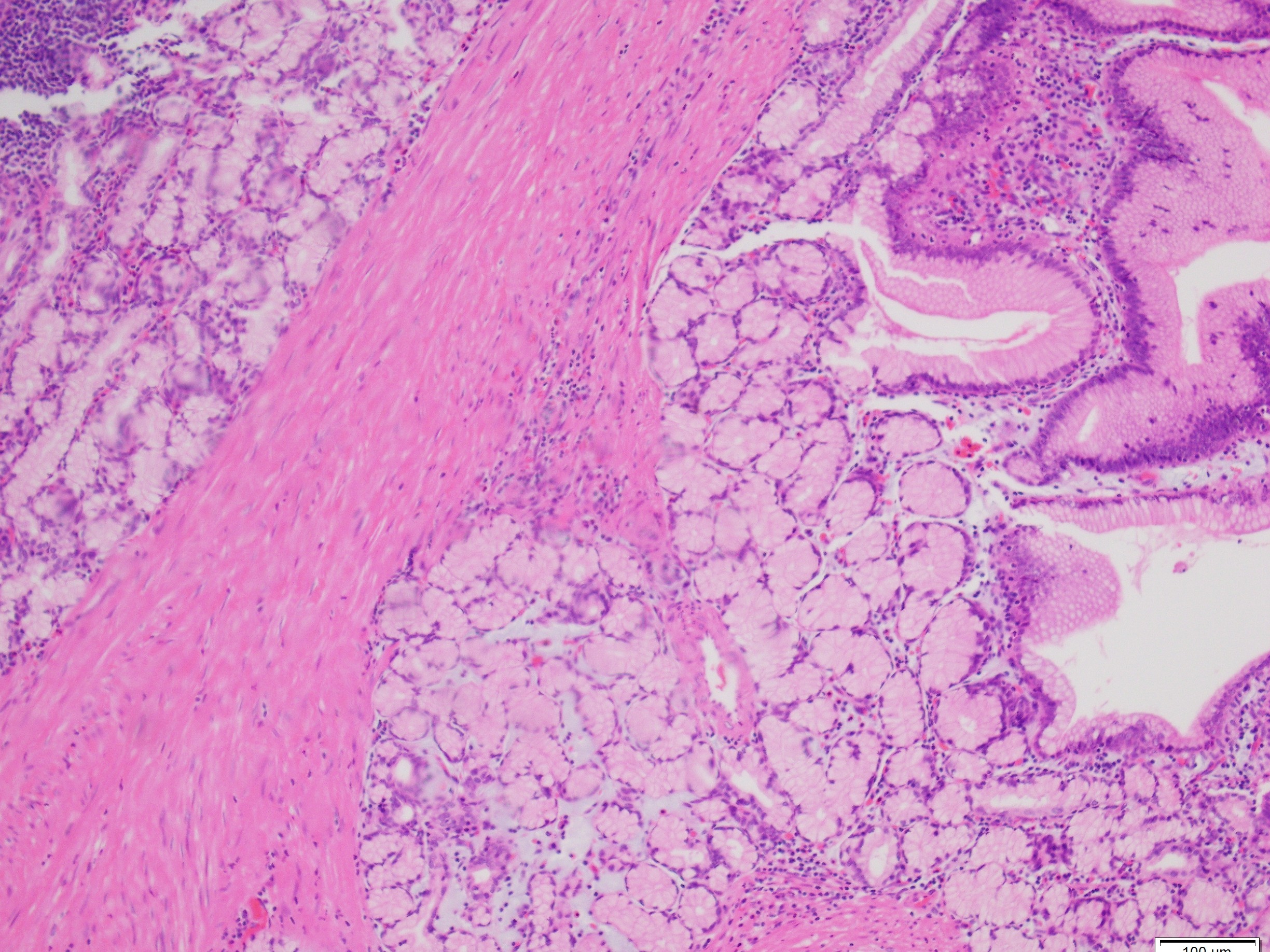 Figure 3 COTW July 8 2025