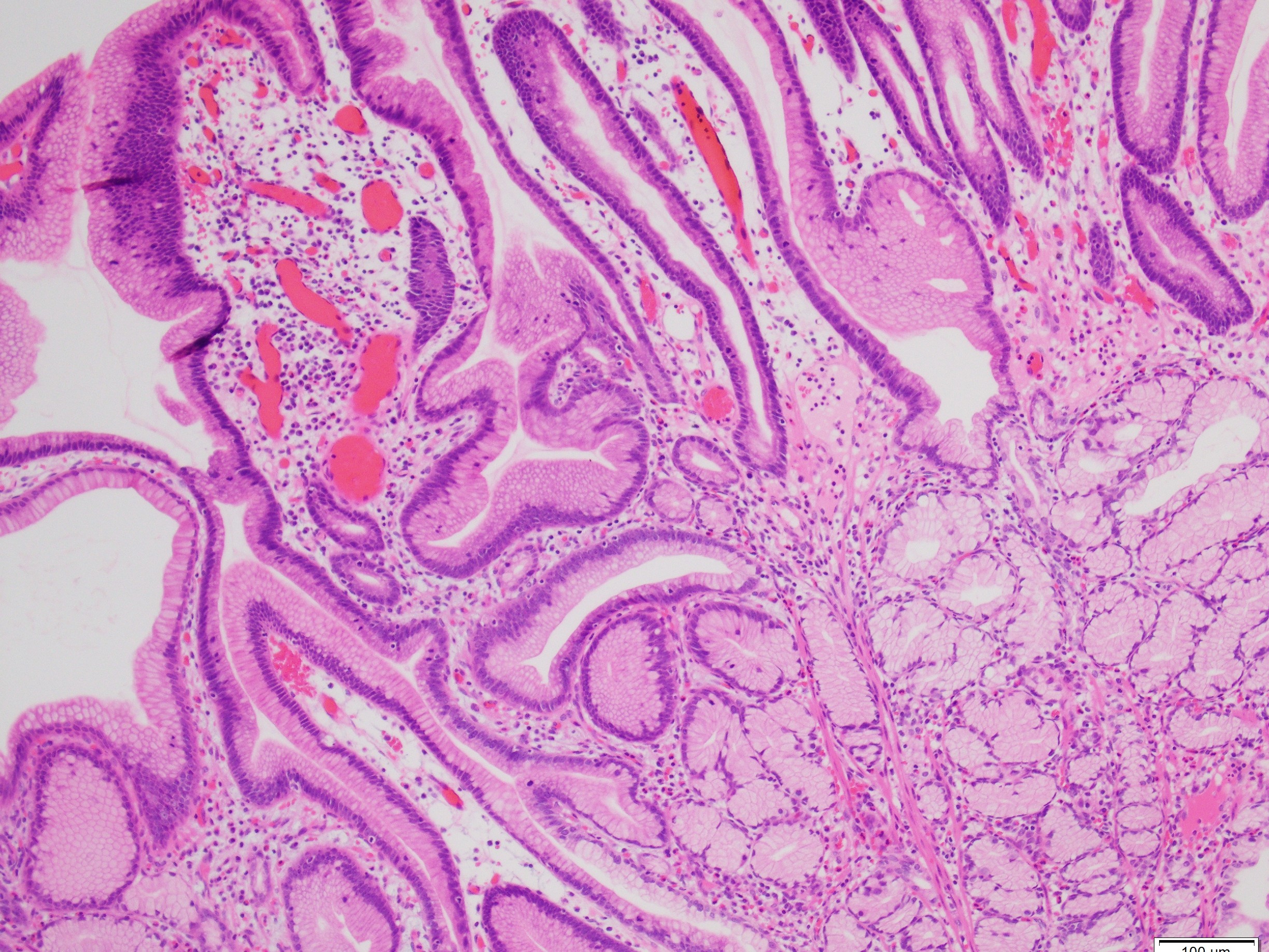 Figure 4 COTW July 8 2025