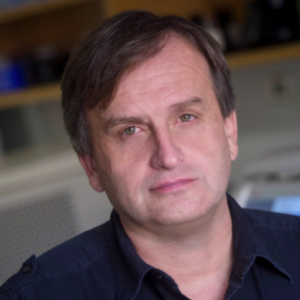 Zdenek Hel, Ph.D., Awarded Funds to Study Lung Damage in COVID-19