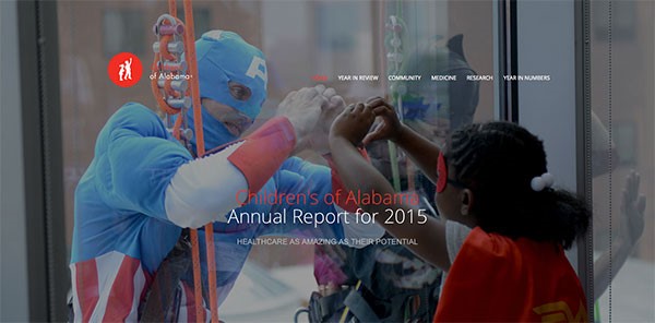 COA Annual Report 2015