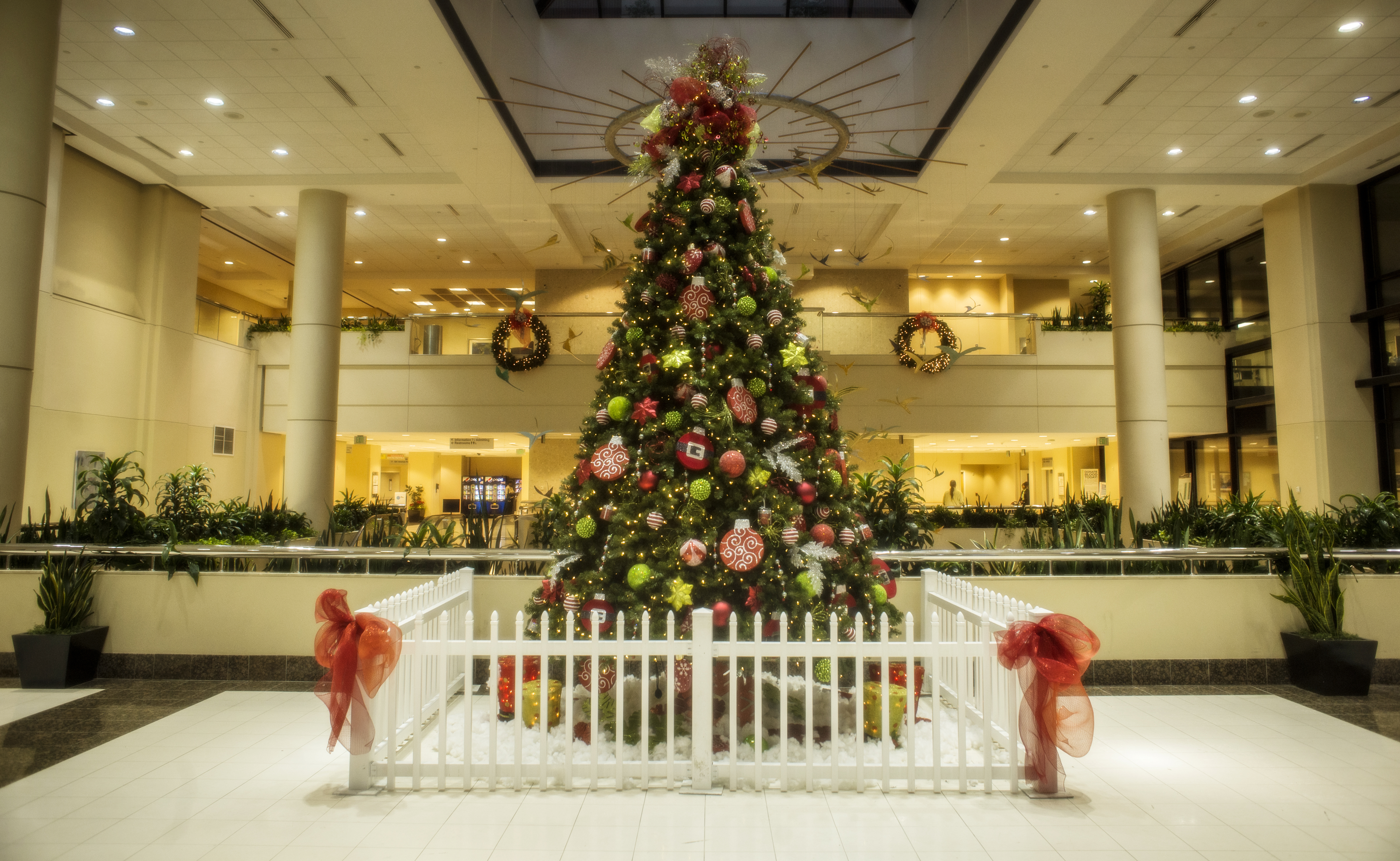 RS16824 christmas trees 20