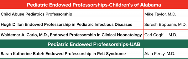 Endowed Professorships