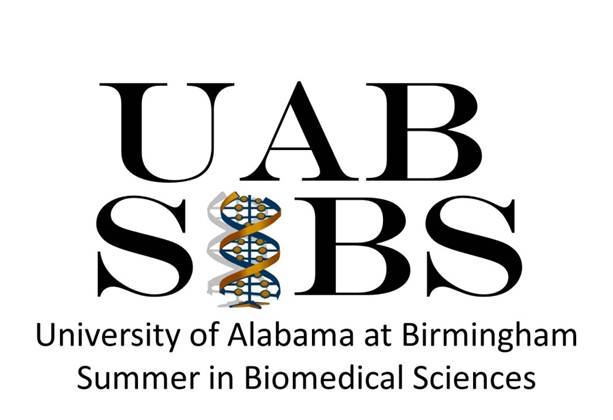 Summer in Biomedical Research (SIBS)
