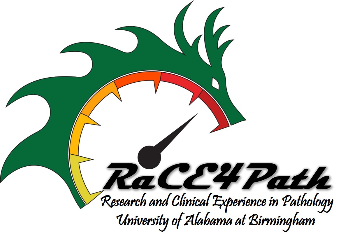 Research and Clinical Exp in Pathology for Undergrads (RaCE4Path-UG)