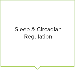 Sleep & Circadian Regulation