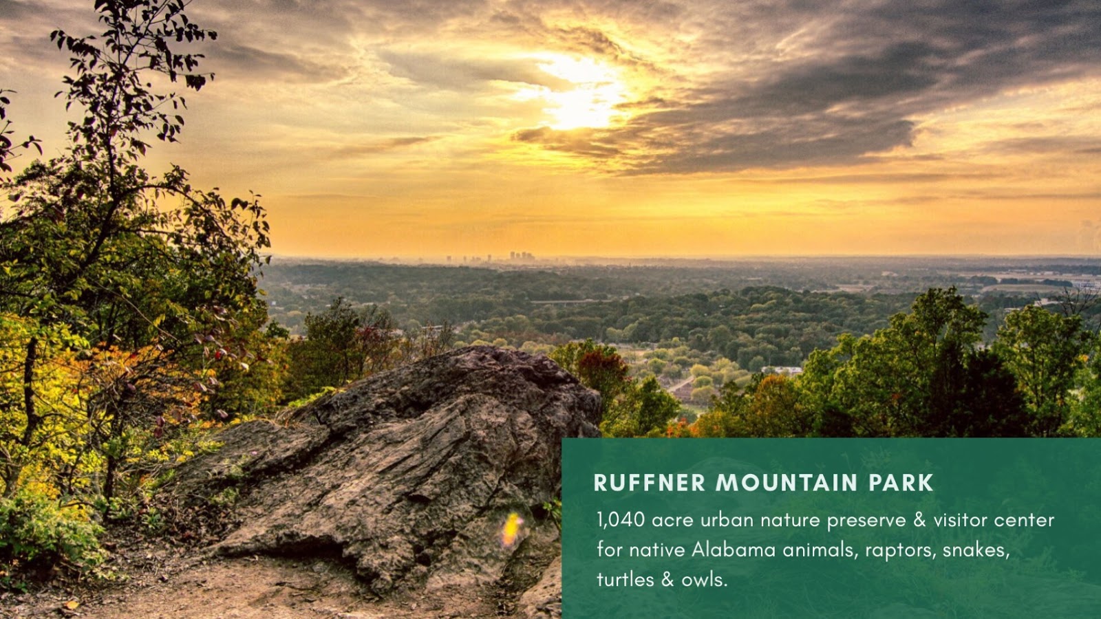Ruffner Mountain Birmingham, AL
