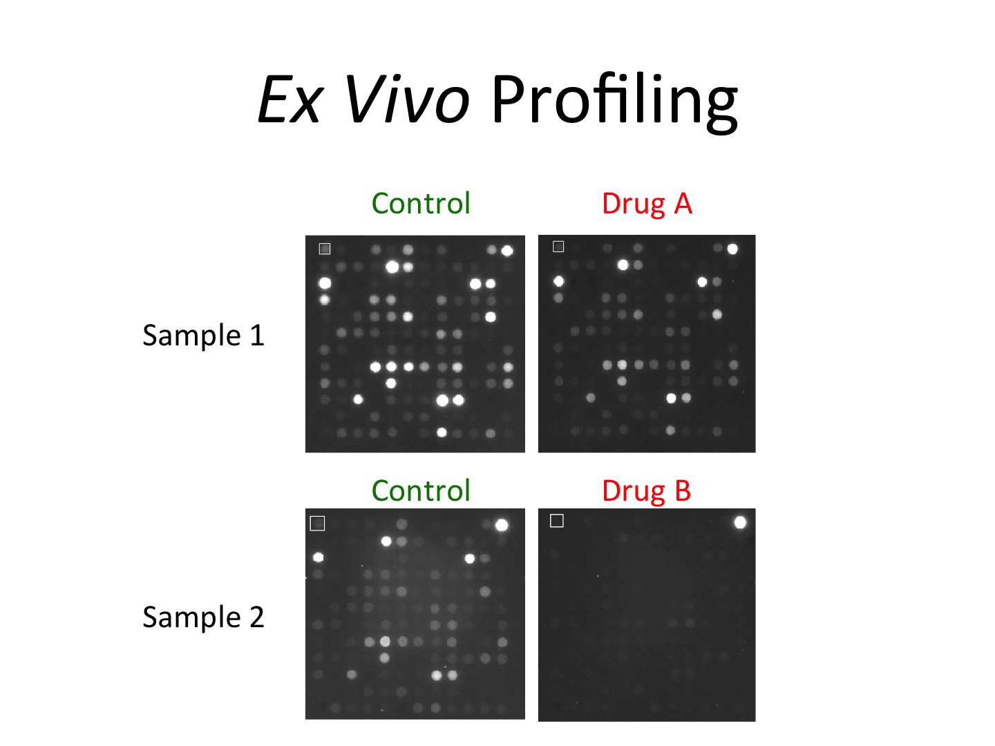 ex-vivo-test-example