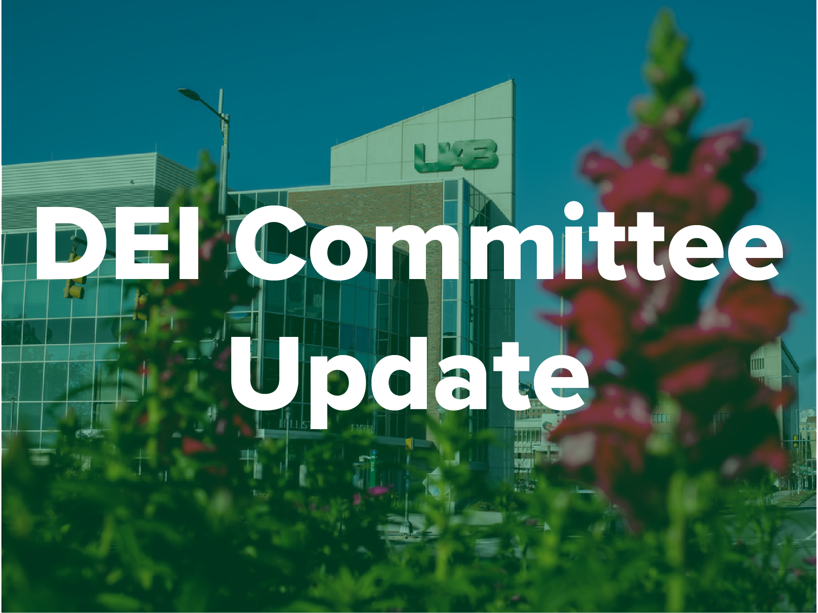 DEI Committee Update