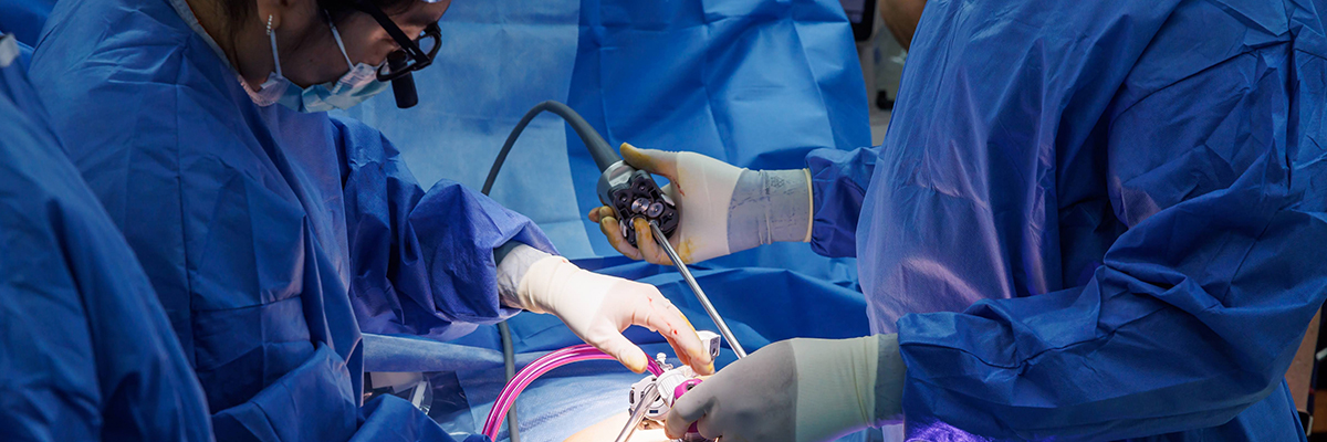 oncology section header