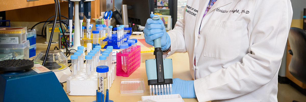 research areas header