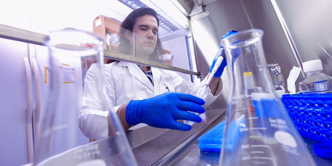 working in lab inside vent hood