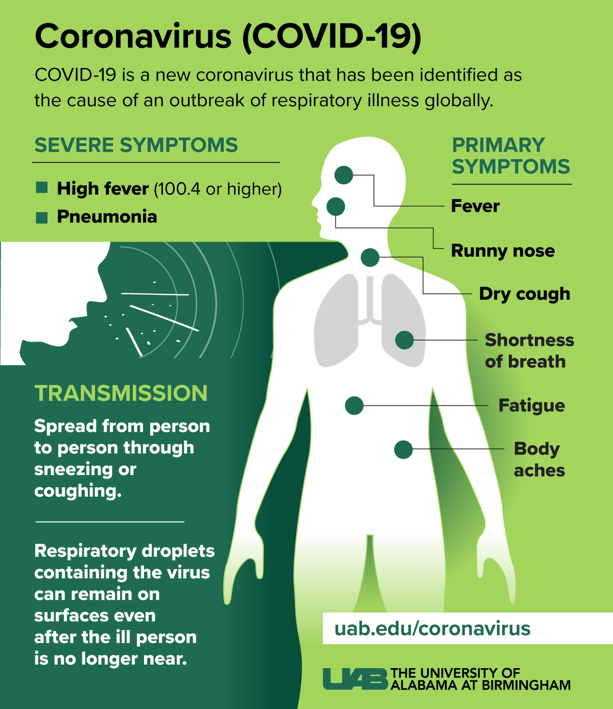 Coronavirus Symptoms graphic web