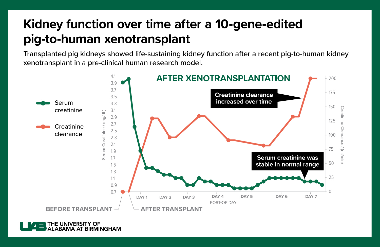 01 2023 JAMA Surgery Graphic xeno kidney function over time chart