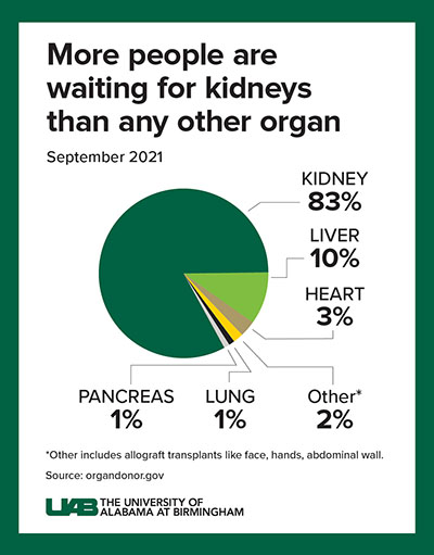 Graphic of a pie chart showing the percentage of organs recipients are needing. 