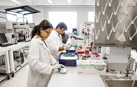 From side, two laboratory technicians working in Genomic Services Laboratory, HudsonAlpha Institute for Biotechnology, 2015.
