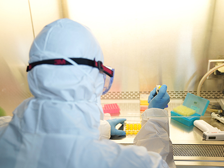 Back view of Scientist testing Vaccine Coronavirus in Biosafety Cabinet
