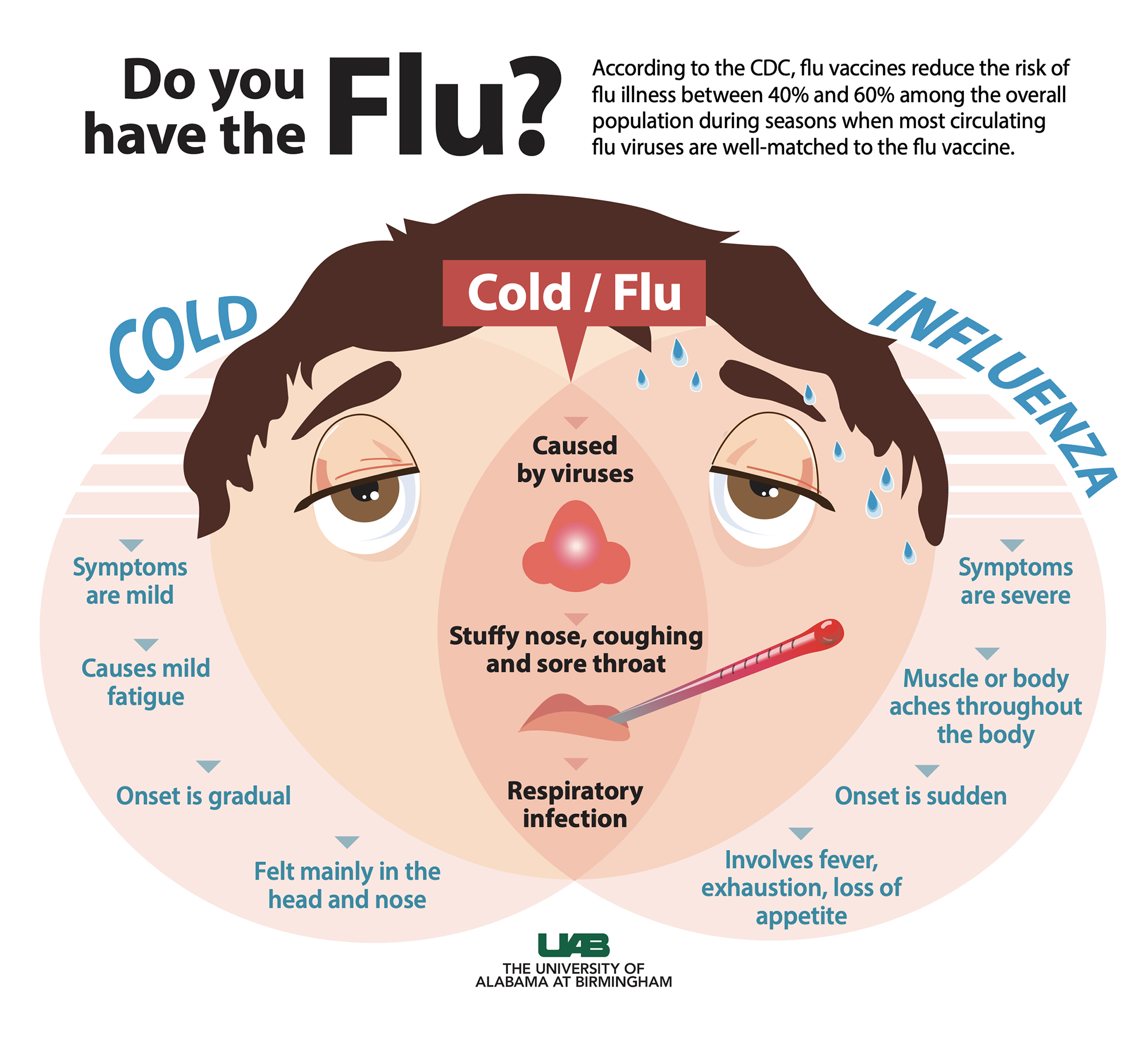 Cold vs. Flu infographic