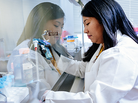 UAB School of Dentistry Institute of Oral Health Research (IOHR), 2019. From side, woman is using a pipette in a cell culture hood to conduct research in laboratory.