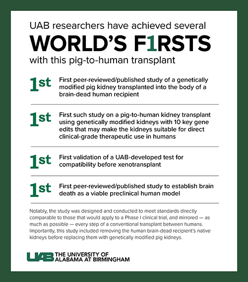Graphic of UAB first in the world of transplant.