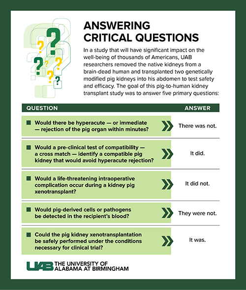 Graphic of critical questions asked about transplantation. 