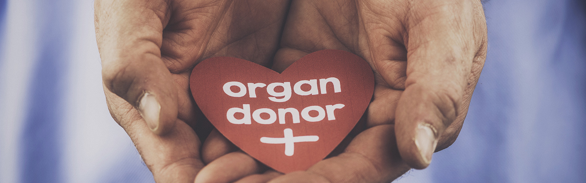 Organ donation: how to register and have conversations with loved ones
