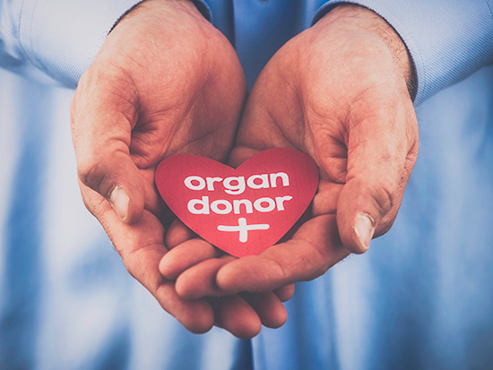Organ Donor Stream