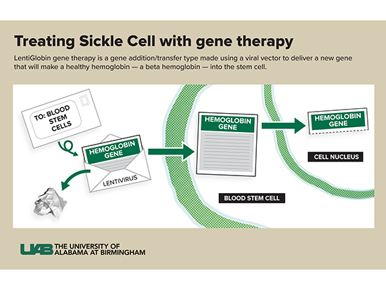 Sickle Cell Gene Therapy Graphic