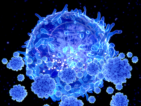 Illustration of a T lymphocyte, or T cell, white blood cells targeting SARS-CoV-2 coronavirus particles. T lymphocytes are components of the body's immune system. Helper T cells stimulate other immune cells to act against a pathogen, whereas killer T cells target and destroy infected cells themselves. SARS-CoV-2 emerged in Wuhan, China, in December 2019, and causes a mild respiratory illness (covid-19) that can develop into pneumonia and be fatal in some cases.