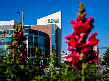 Close-up of red blooming flowers with the Hill Student Center and blue sky in the background, April 2020.