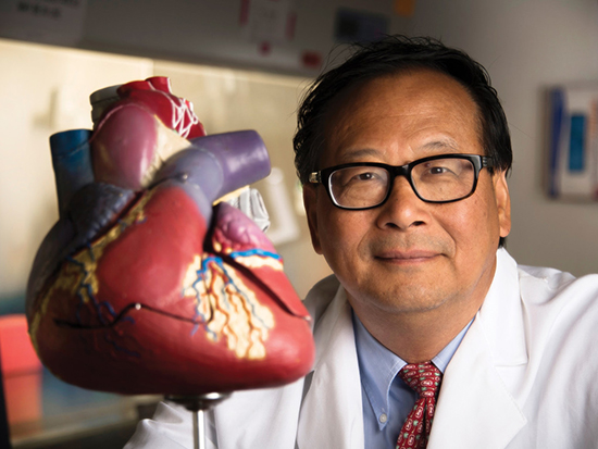 Jianyi “Jay” Zhang, M.D., Ph.D., posing beside model of heart. 