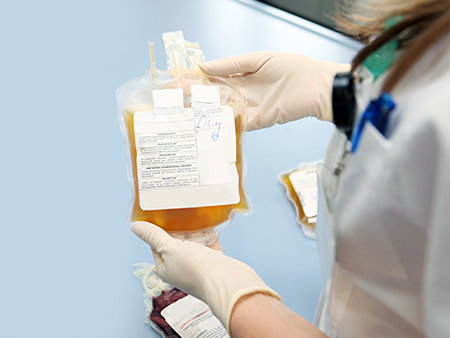Doctor in a blood bank is holding blood bag  with red blood cells