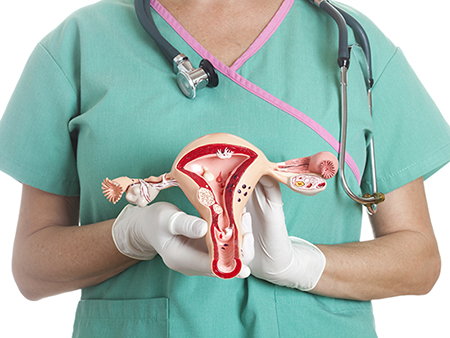 Health care worker holding 3-D model of uterus and ovaries.