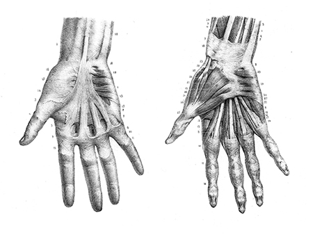 A finger phantom to train treatment of trigger finger using ultrasound ...