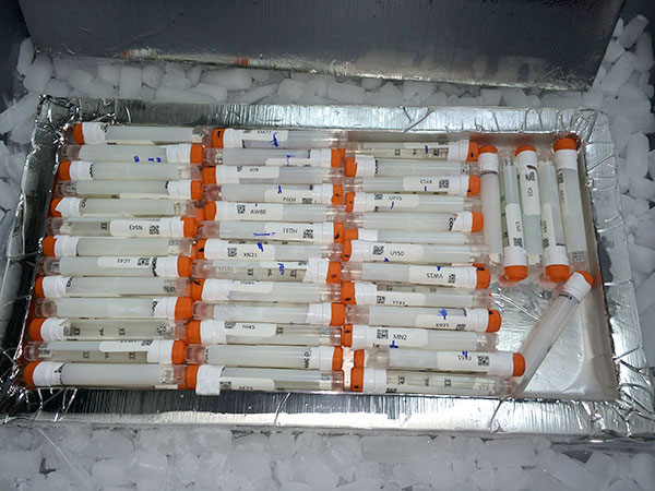 delucas frozen tubes