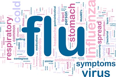 flu myths s