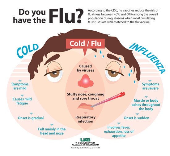 flue vaccine infograph