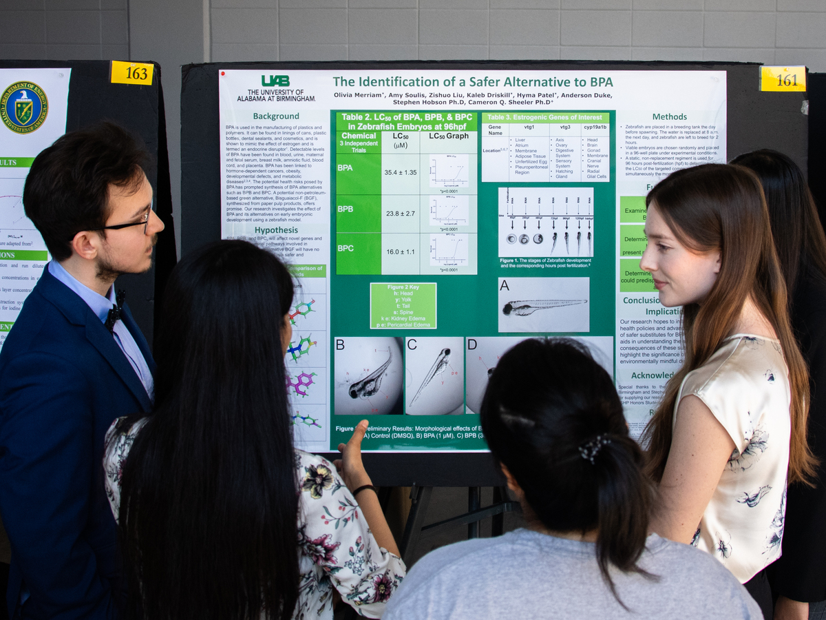UAB Fall Expo to highlight undergraduate student research achievements 