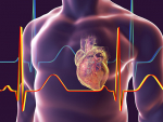 Coronary artery calcium score may help personalize blood pressure treatment, guide cardiovascular risk reduction approaches