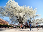 UAB campus honored for commitment to conservation